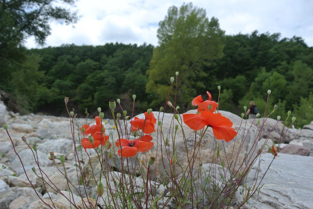 Locanda La Pieve Semproniano Kültér fotó